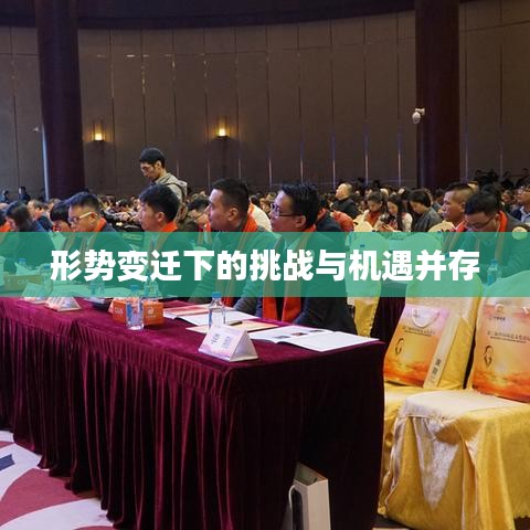 形势变迁下的挑战与机遇并存