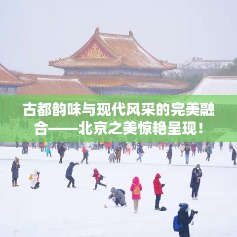 洁身自好 第2页