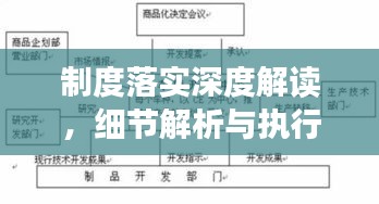 制度落实深度解读，细节解析与执行要点