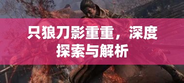 只狼刀影重重，深度探索与解析