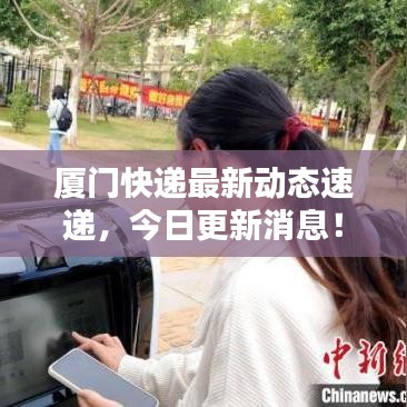 厦门快递最新动态速递，今日更新消息！