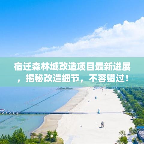 宿迁森林城改造项目最新进展，揭秘改造细节，不容错过！
