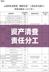 资产清查责任分工落实表：2020年资产清查工作实施方案 