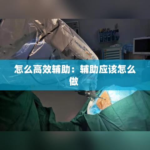 怎么高效辅助：辅助应该怎么做 