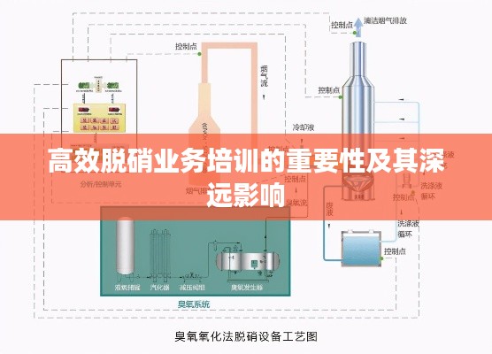 高效脱硝业务培训的重要性及其深远影响