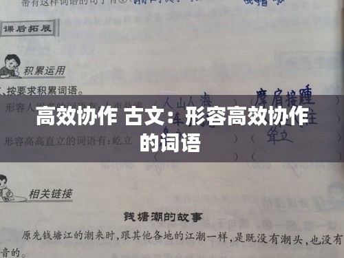高效协作 古文：形容高效协作的词语 