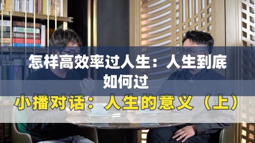 怎样高效率过人生：人生到底如何过 