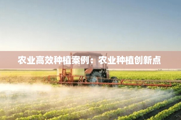 农业高效种植案例：农业种植创新点 