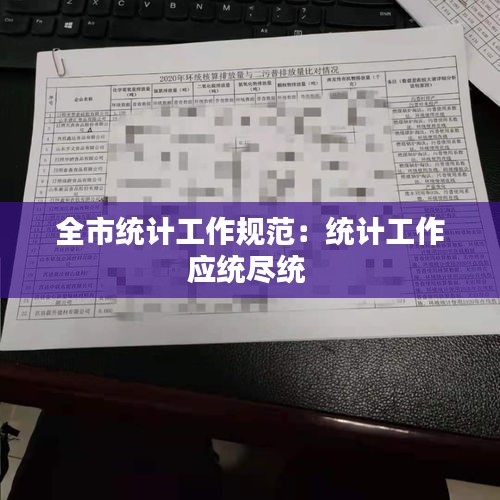 全市统计工作规范：统计工作应统尽统 