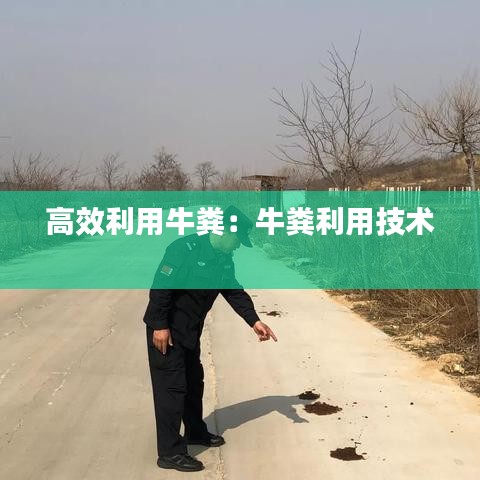 高效利用牛粪：牛粪利用技术 