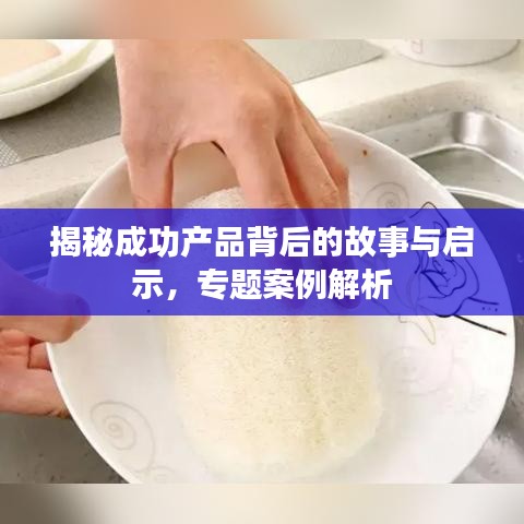 揭秘成功产品背后的故事与启示，专题案例解析
