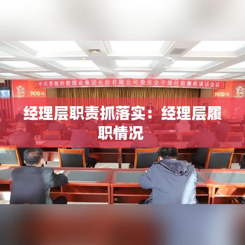 经理层职责抓落实：经理层履职情况 