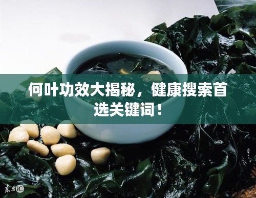 何叶功效大揭秘，健康搜索首选关键词！