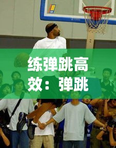 练弹跳高效：弹跳怎样练 
