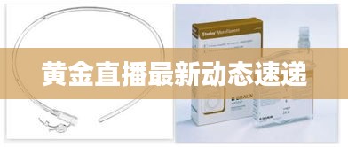 黄金直播最新动态速递