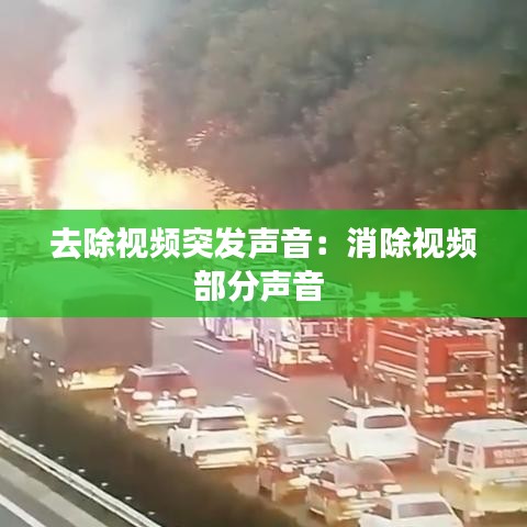 去除视频突发声音：消除视频部分声音 