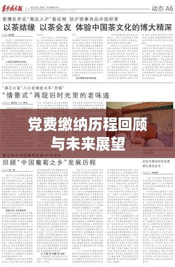 党费缴纳历程回顾与未来展望