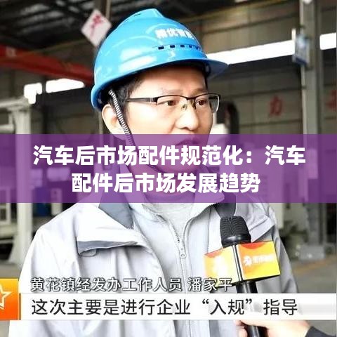 汽车后市场配件规范化：汽车配件后市场发展趋势 
