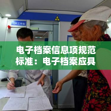 电子档案信息项规范标准：电子档案应具备哪些要素 