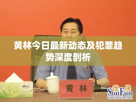 黄林今日最新动态及犯罪趋势深度剖析