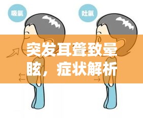 突发耳聋致晕眩，症状解析、诱因及应对方法