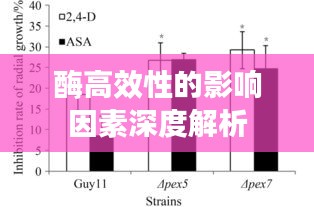 酶高效性的影响因素深度解析
