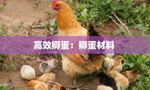 自由自在 第2页