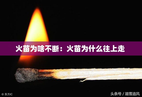 火苗为啥不断：火苗为什么往上走 