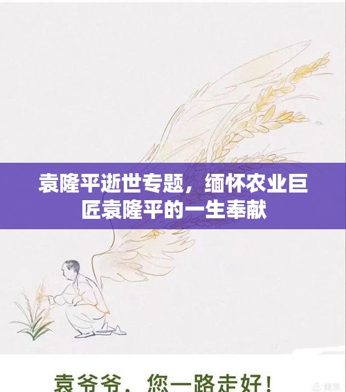 袁隆平逝世专题，缅怀农业巨匠袁隆平的一生奉献