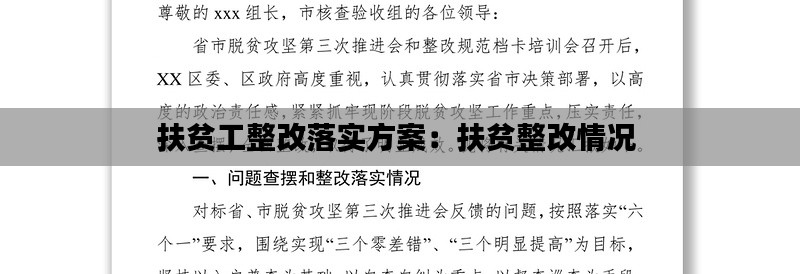 扶贫工整改落实方案：扶贫整改情况 