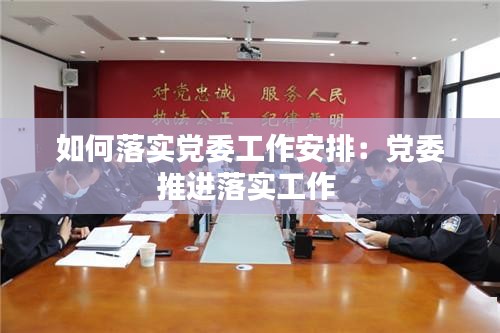 如何落实党委工作安排：党委推进落实工作 
