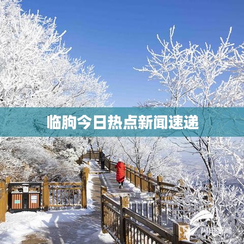 临朐今日热点新闻速递