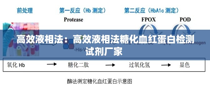 高效液相法：高效液相法糖化血红蛋白检测试剂厂家 