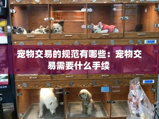 宠物交易的规范有哪些：宠物交易需要什么手续 