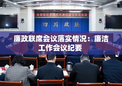 廉政联席会议落实情况：廉洁工作会议纪要 