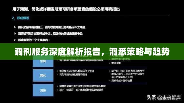 调剂服务深度解析报告，洞悉策略与趋势