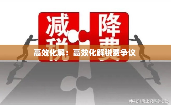 高效化解：高效化解税费争议 