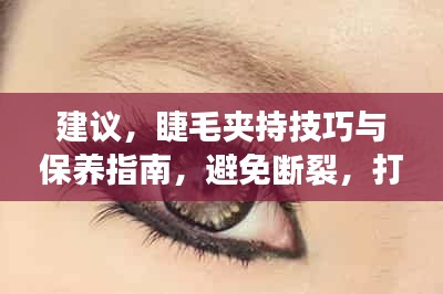 建议，睫毛夹持技巧与保养指南，避免断裂，打造迷人美睫秘籍！