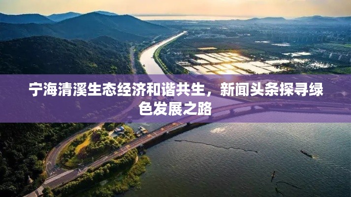 宁海清溪生态经济和谐共生，新闻头条探寻绿色发展之路