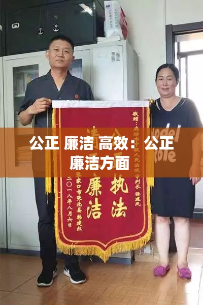 公正 廉洁 高效：公正廉洁方面 
