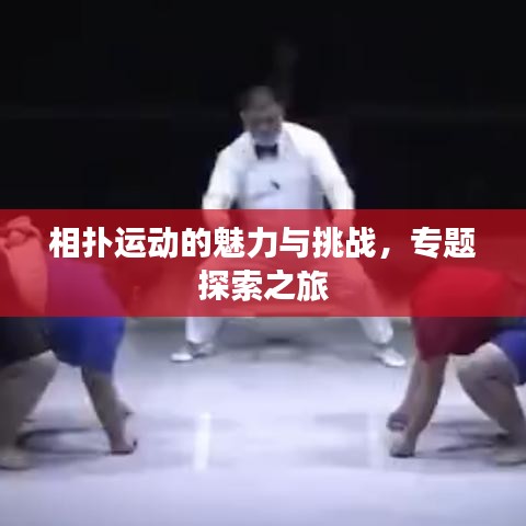 相扑运动的魅力与挑战，专题探索之旅