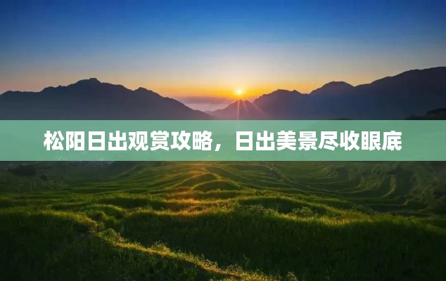 松阳日出观赏攻略，日出美景尽收眼底