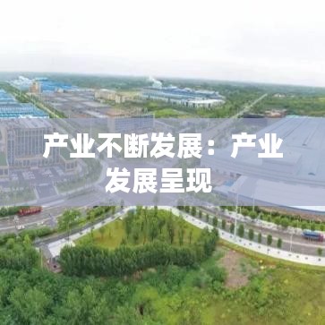 产业不断发展：产业发展呈现 