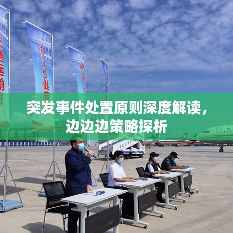 突发事件处置原则深度解读，边边边策略探析