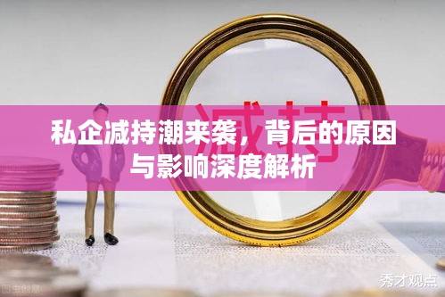 私企减持潮来袭，背后的原因与影响深度解析