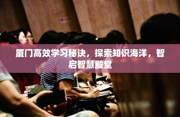 厦门高效学习秘诀，探索知识海洋，智启智慧殿堂