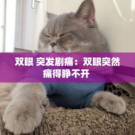 双眼 突发剧痛：双眼突然痛得睁不开 