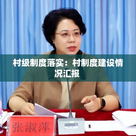 村级制度落实：村制度建设情况汇报 