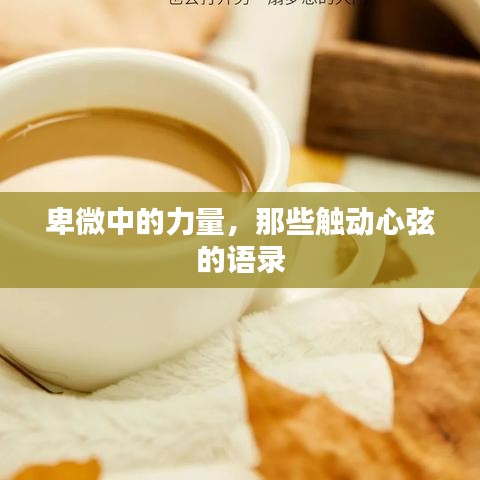 卑微中的力量，那些触动心弦的语录