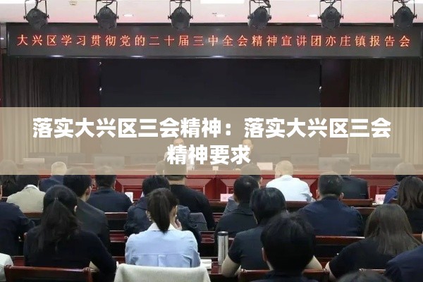 落实大兴区三会精神：落实大兴区三会精神要求 